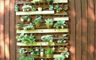 DIY Vertical Garden Ideas for Small Spaces