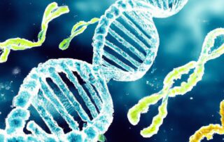 The Potential of Gene Editing Technologies
