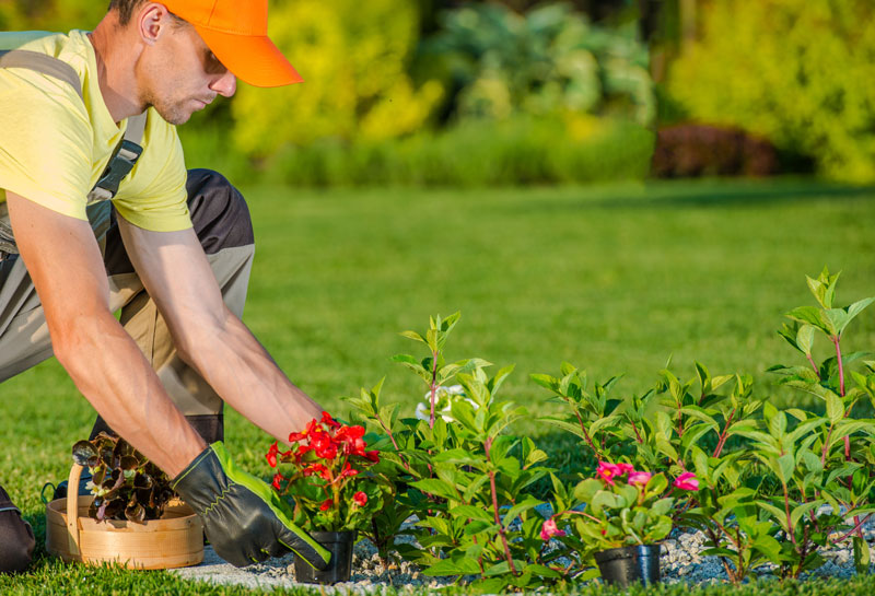 Creating A Garden