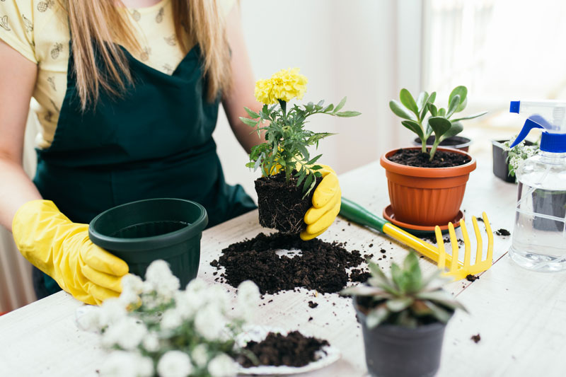 Top Selections on the Best Potting Benches