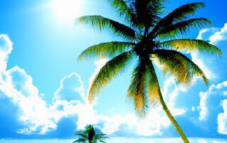 Essential Tips for Planning Your First Solo Travel Adventure