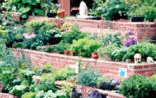 Edible Landscaping: Integrating Food Plants into Your Yard