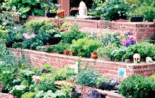 Edible Landscaping: Integrating Food Plants into Your Yard