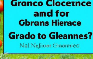 Organic Gardening Basics: How to Go Chemical-Free