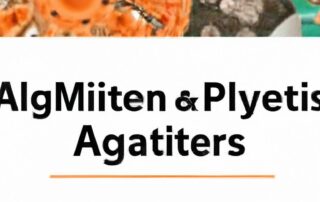Strategies for Managing Multiple Affiliate Partners