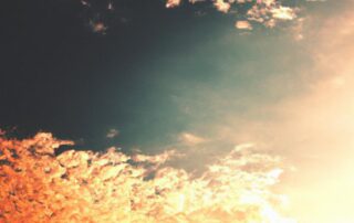 Tips for Taking Professional-Quality Photos with Your Smartphone
