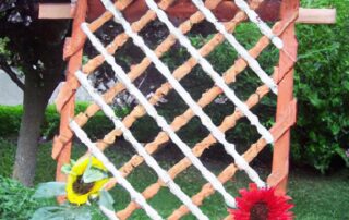 DIY Garden Trellis Ideas for Climbing Plants