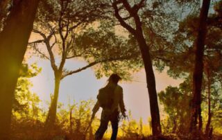 Tips for Sustainable Travel Practices