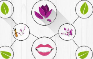Essential Oils in Skincare: Benefits and Uses